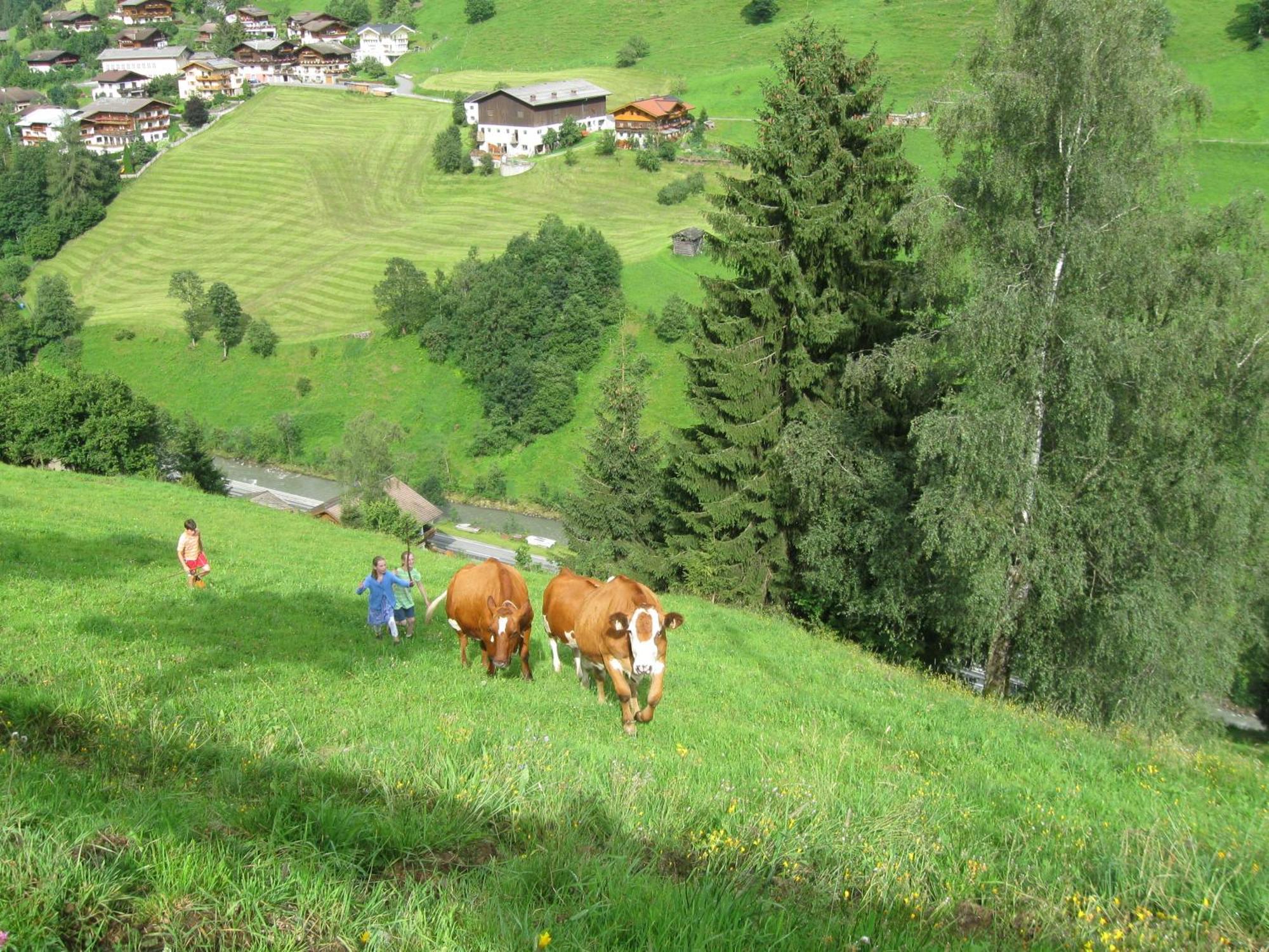 Schaidreithof Grossarl Luaran gambar