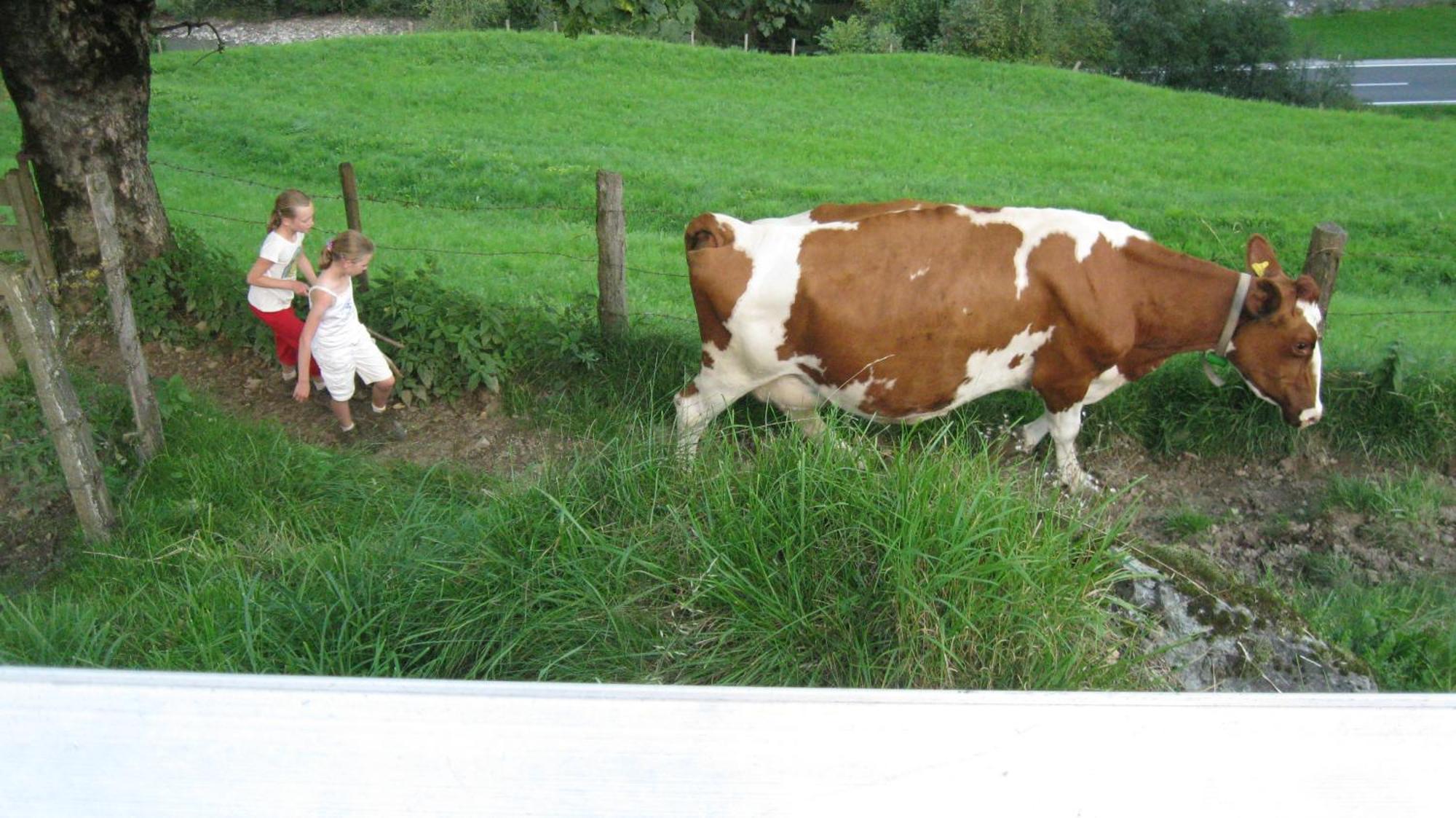 Schaidreithof Grossarl Luaran gambar